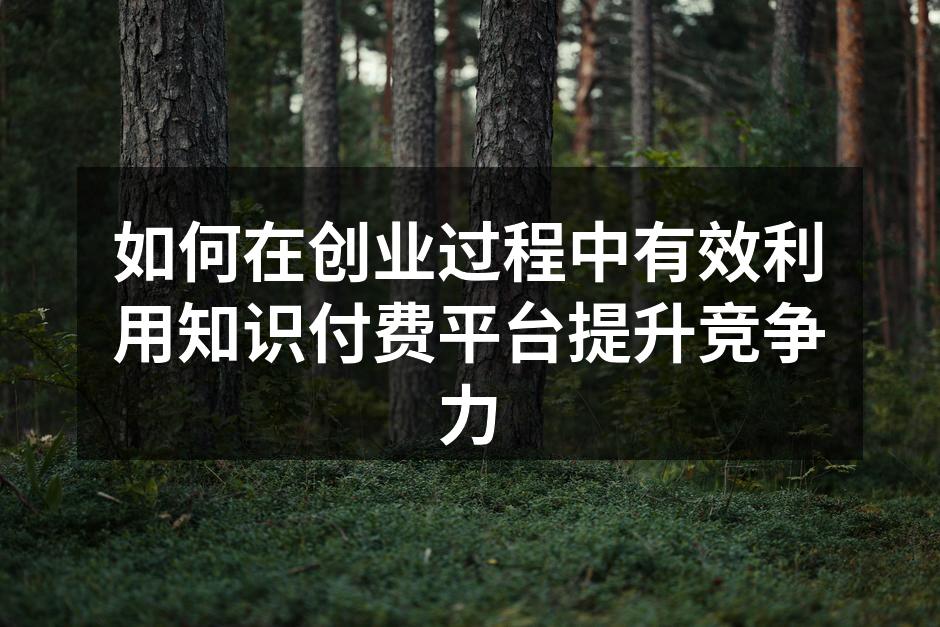 如何在创业过程中有效利用知识付费平台提升竞争力